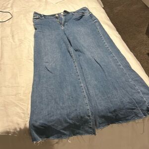 Frame Le Palazzo Crop Jeans Size 32